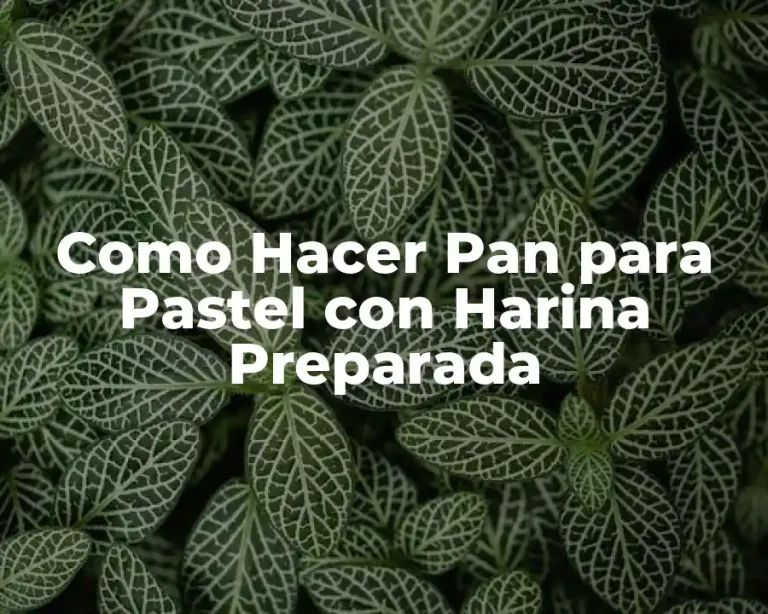 Como Hacer Pan para Pastel con Harina Preparada