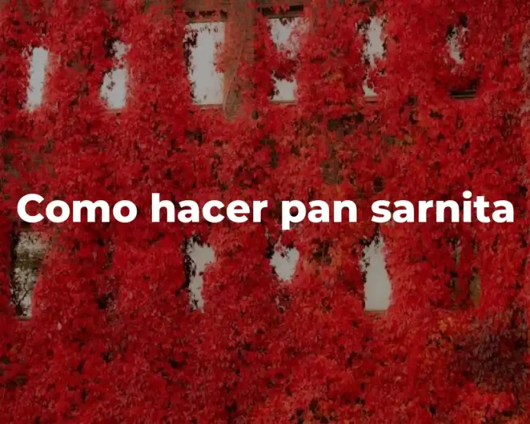 Como hacer pan sarnita