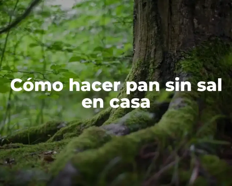 Cómo hacer pan sin sal en casa