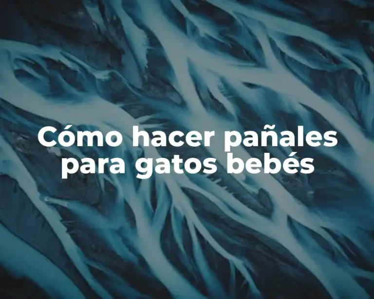 Cómo hacer pañales para gatos bebés