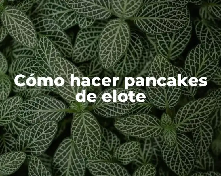 Cómo hacer pancakes de elote