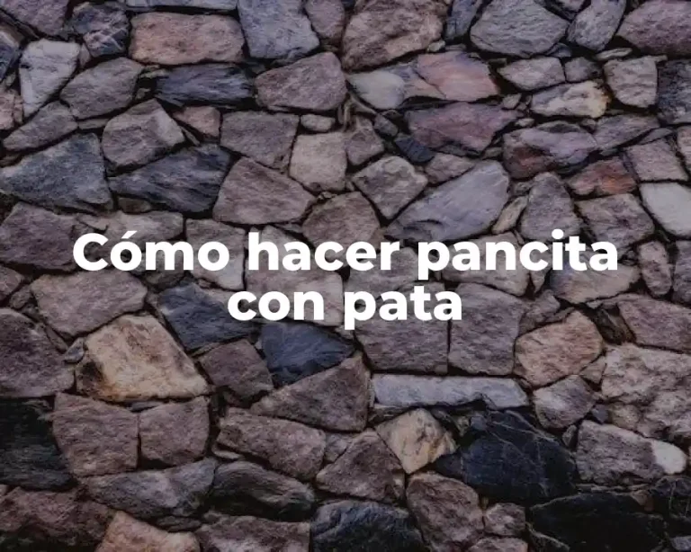 Cómo hacer pancita con pata
