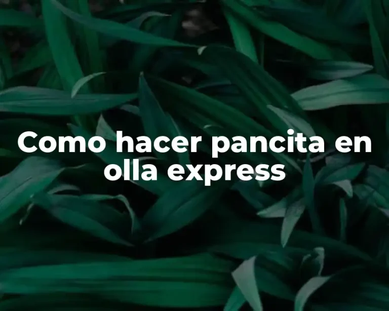 Como hacer pancita en olla express