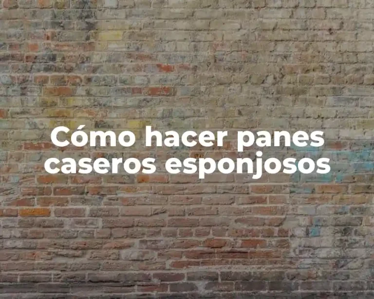Cómo hacer panes caseros esponjosos