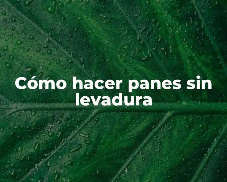 Cómo hacer panes sin levadura