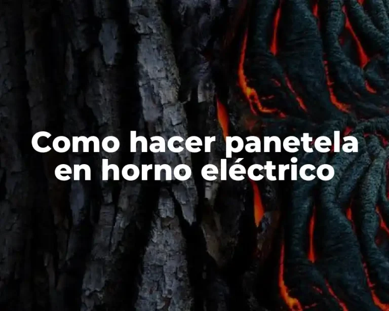 Como hacer panetela en horno eléctrico