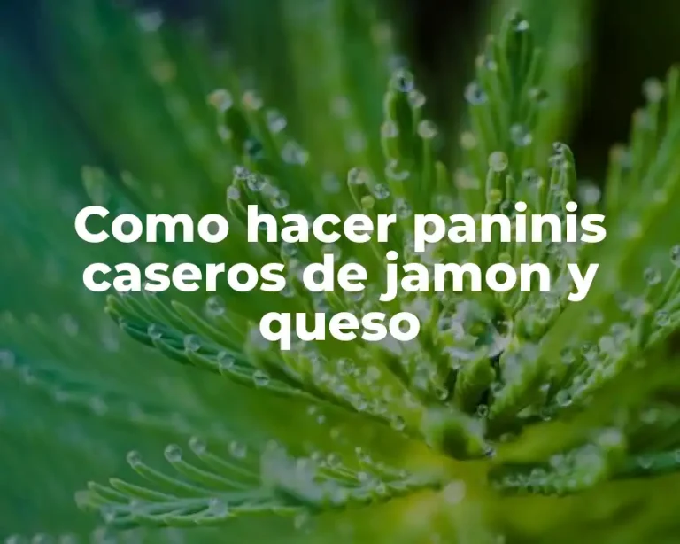 Como hacer paninis caseros de jamon y queso