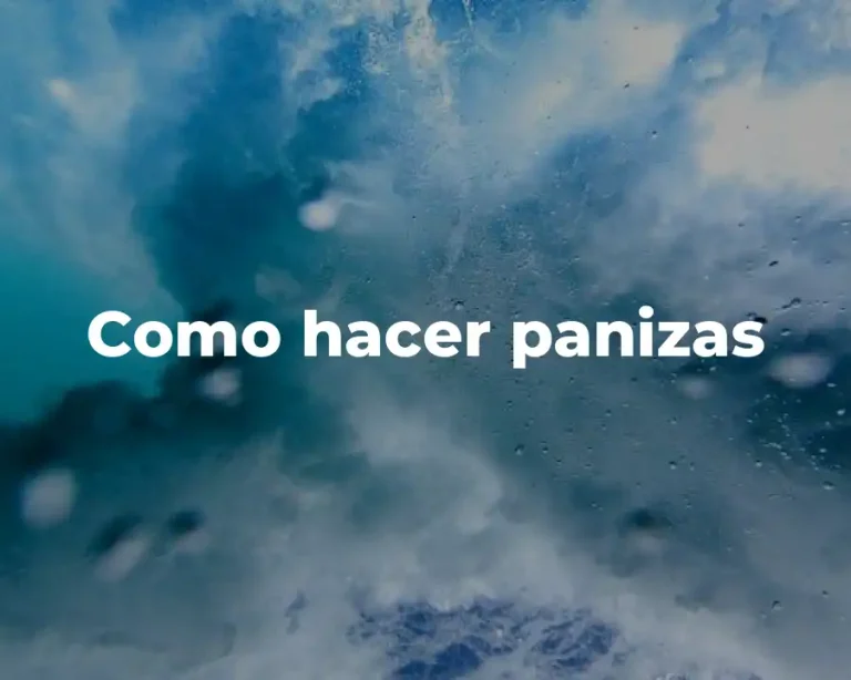Como hacer panizas