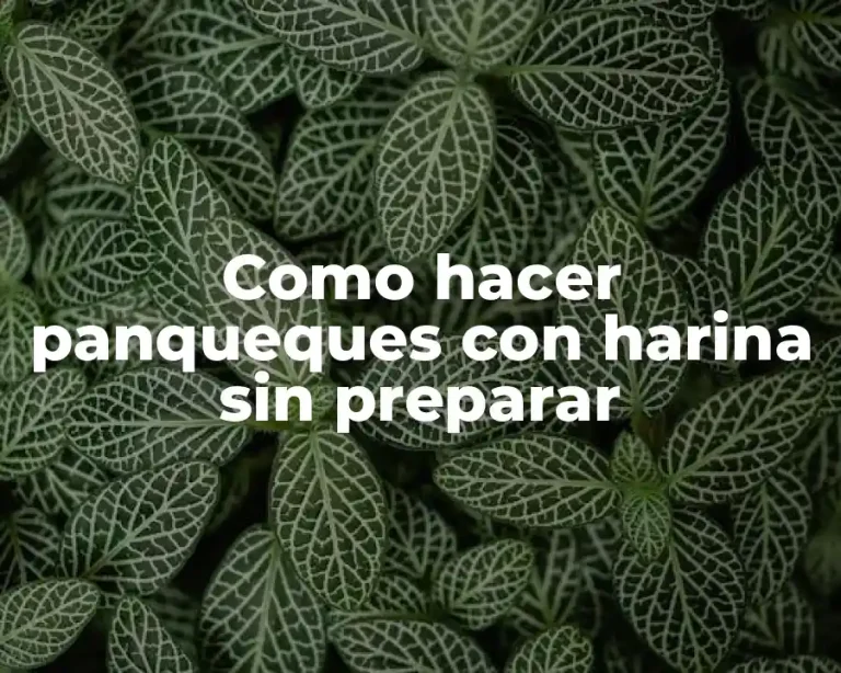 Como hacer panqueques con harina sin preparar