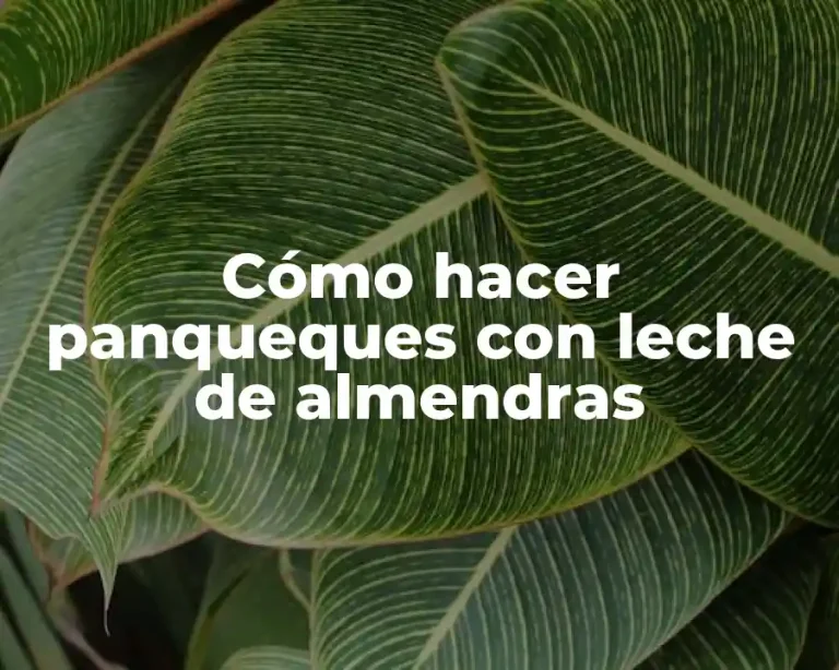 Cómo hacer panqueques con leche de almendras
