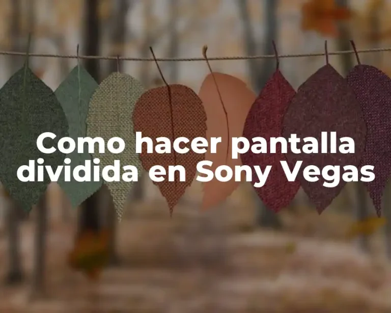 Como hacer pantalla dividida en Sony Vegas