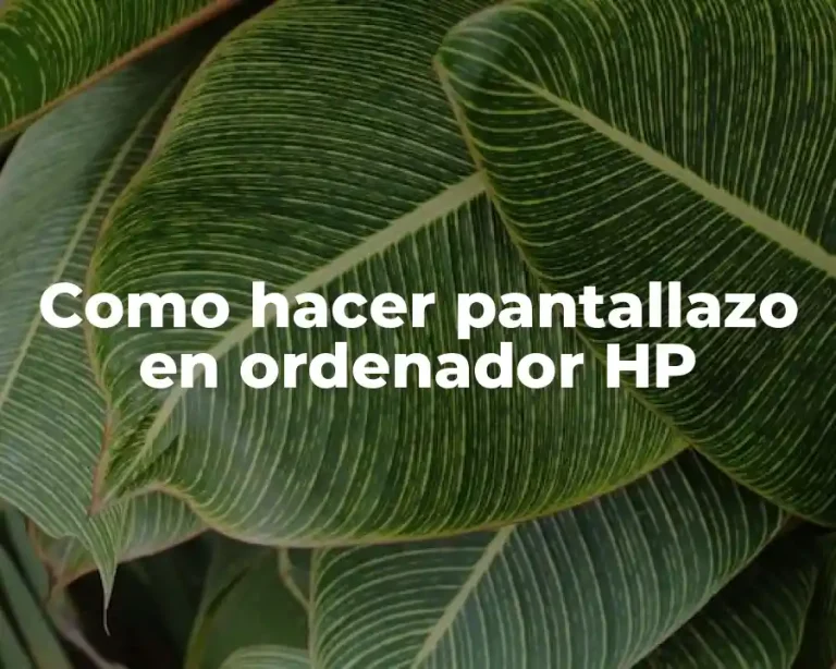 Como hacer pantallazo en ordenador HP