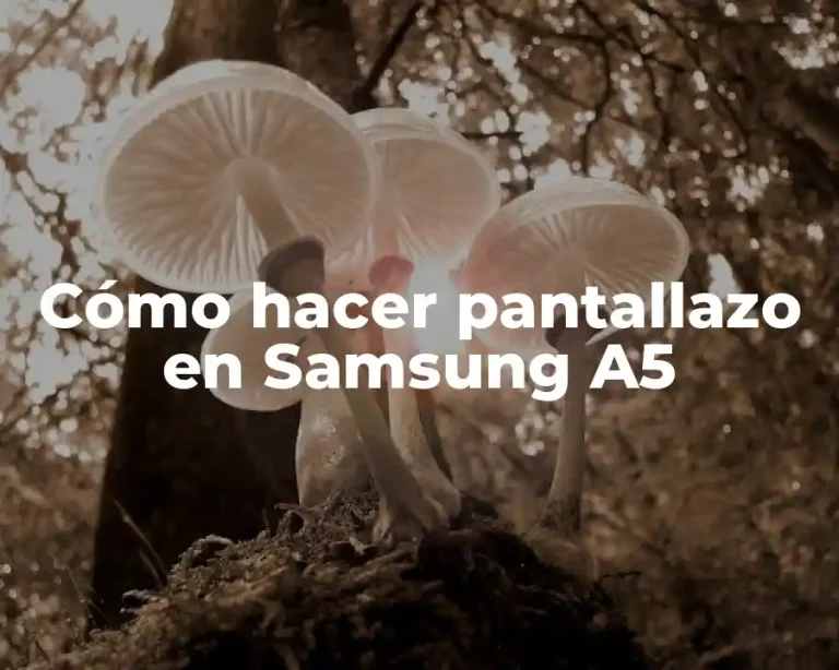 Cómo hacer pantallazo en Samsung A5