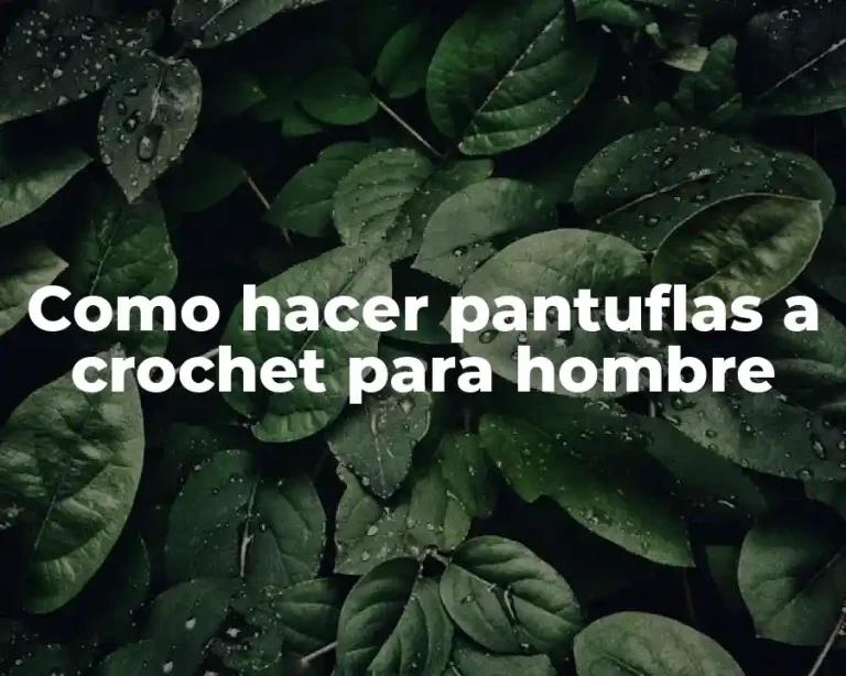 Como hacer pantuflas a crochet para hombre