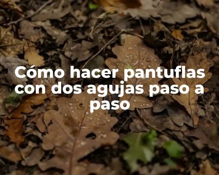 Cómo hacer pantuflas con dos agujas paso a paso