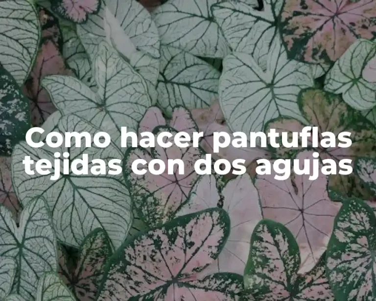 Como hacer pantuflas tejidas con dos agujas