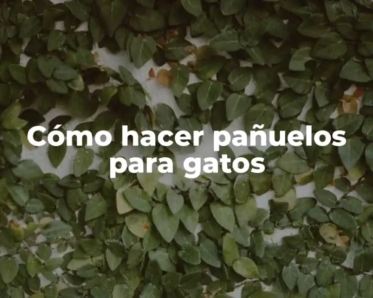 Cómo hacer pañuelos para gatos