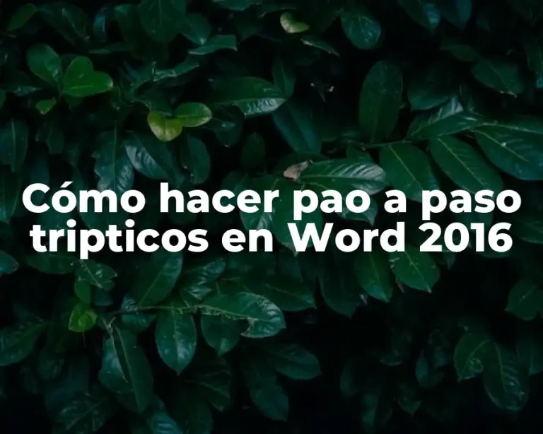 Cómo hacer pao a paso tripticos en Word 2016