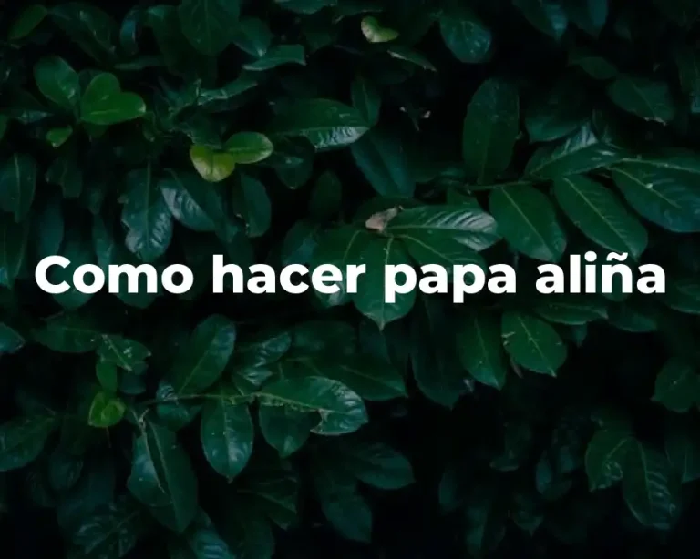 Como hacer papa aliña