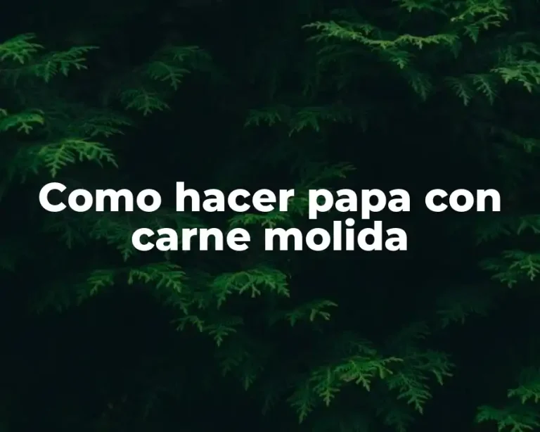 Como hacer papa con carne molida