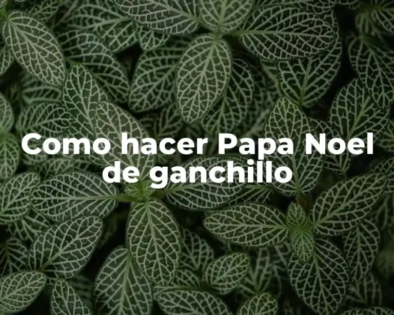 Como hacer Papa Noel de ganchillo