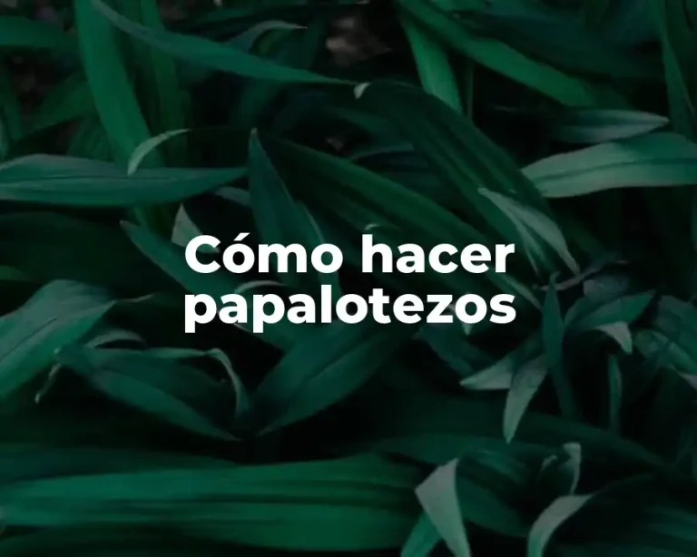 Cómo hacer papalotezos