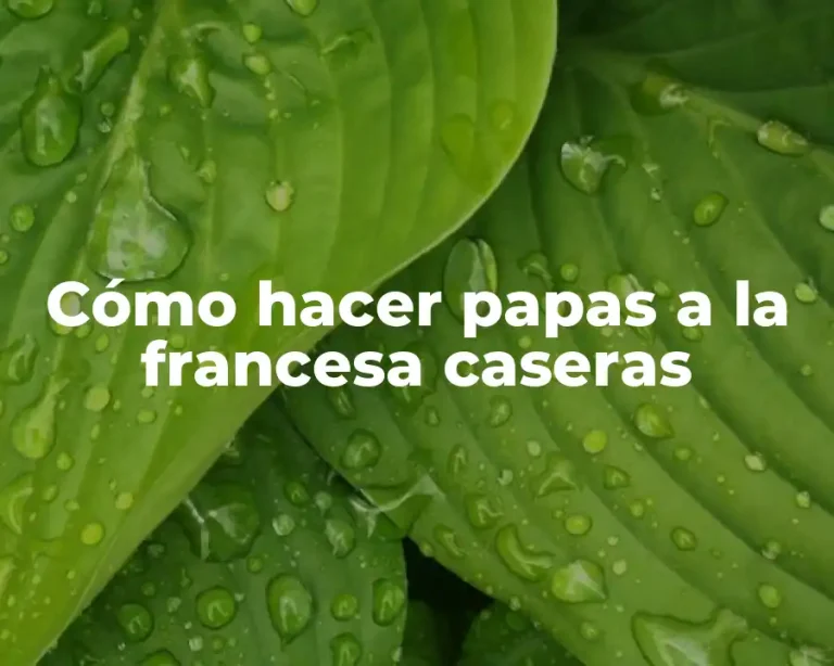 Cómo hacer papas a la francesa caseras