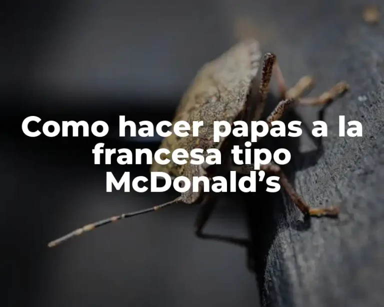 Como hacer papas a la francesa tipo McDonald’s