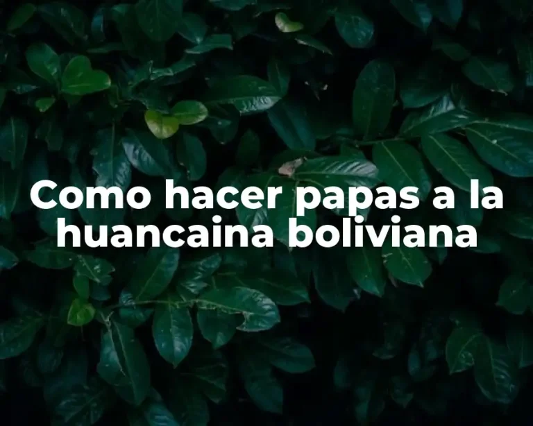 Como hacer papas a la huancaina boliviana