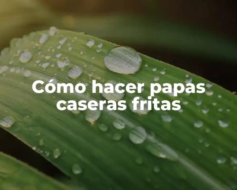 Cómo hacer papas caseras fritas