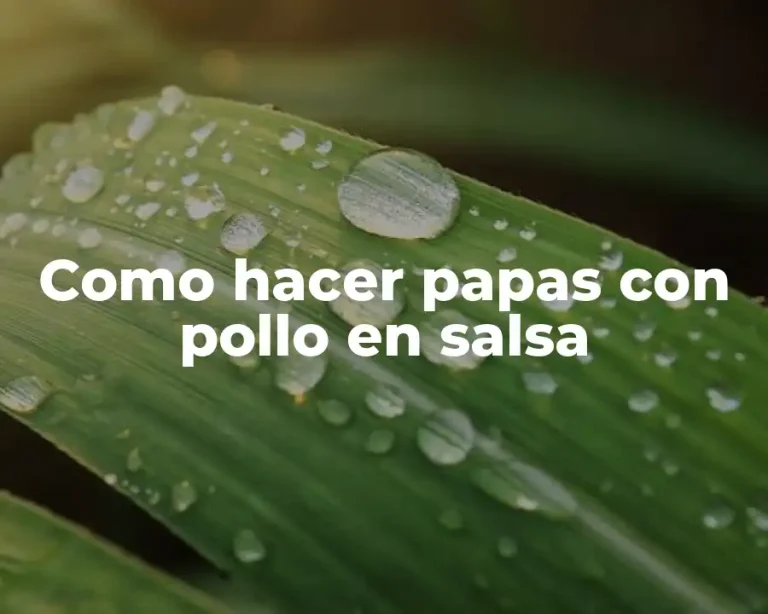 Como hacer papas con pollo en salsa