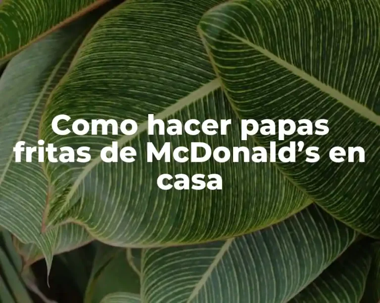 Como hacer papas fritas de McDonald’s en casa