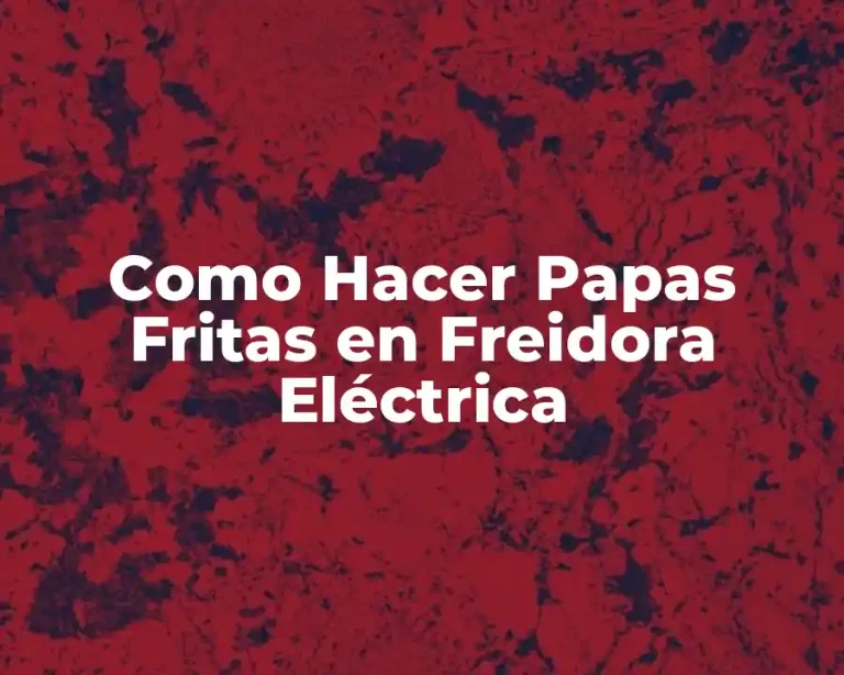 Como Hacer Papas Fritas en Freidora Eléctrica
