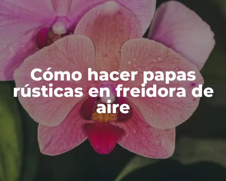 Cómo hacer papas rústicas en freidora de aire