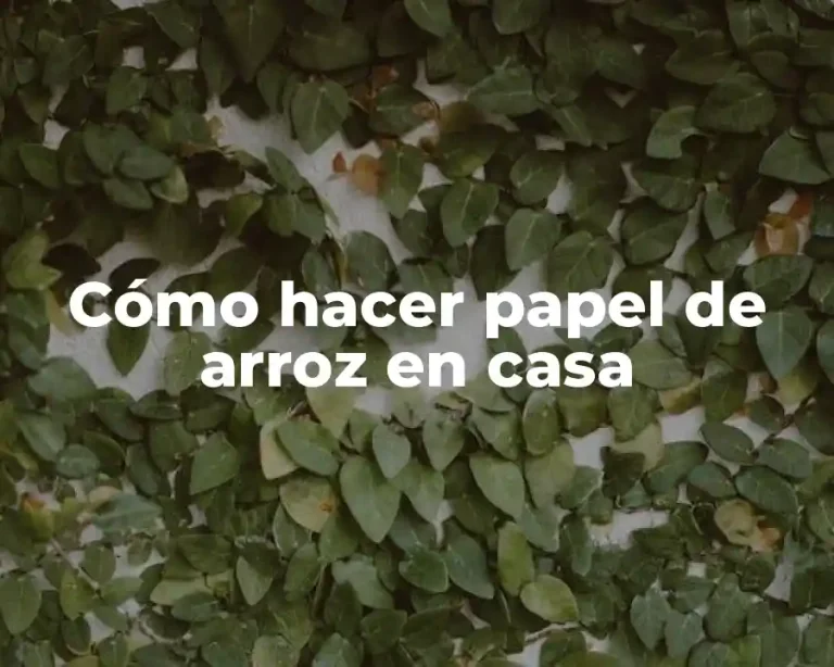 Cómo hacer papel de arroz en casa