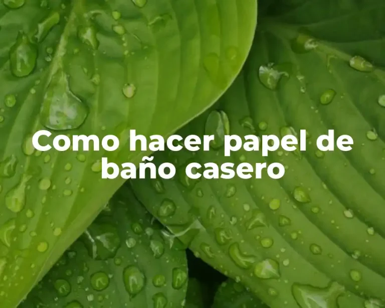 Como hacer papel de baño casero