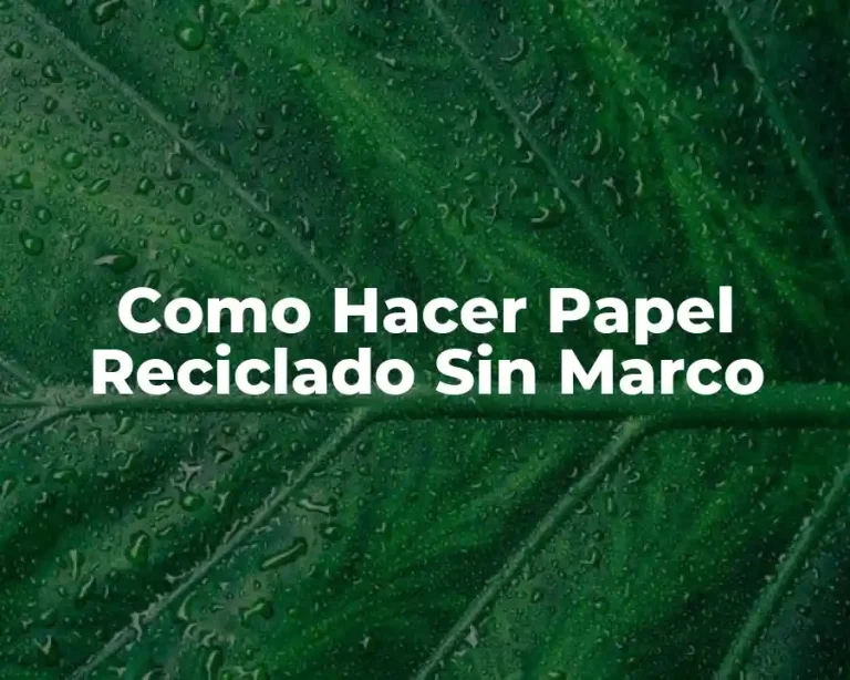 Como Hacer Papel Reciclado Sin Marco