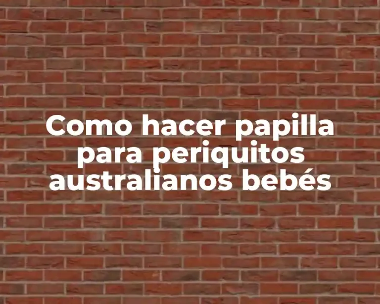 Como hacer papilla para periquitos australianos bebés