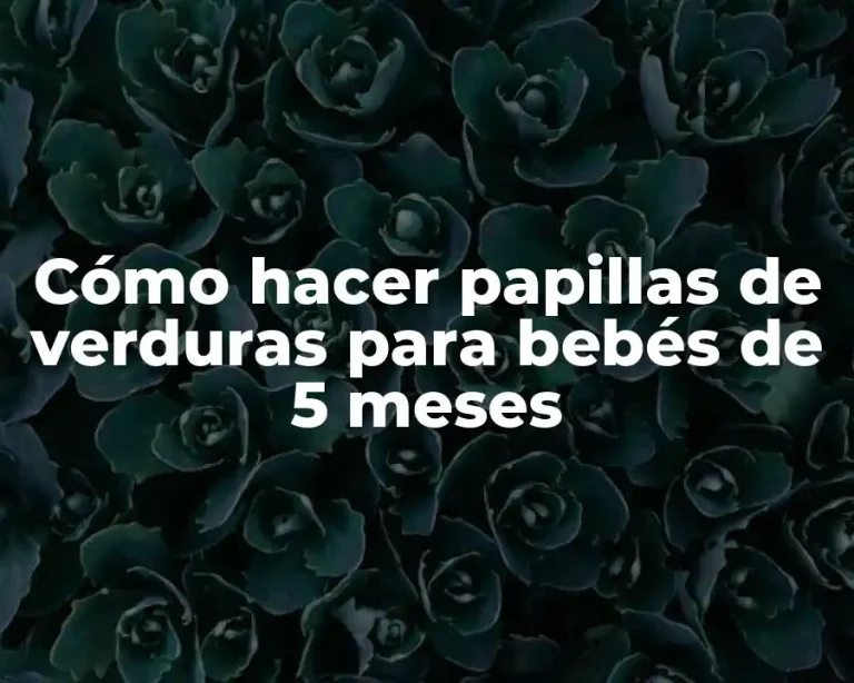 Cómo hacer papillas de verduras para bebés de 5 meses