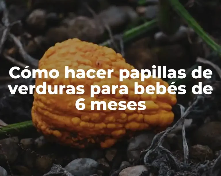 Cómo hacer papillas de verduras para bebés de 6 meses