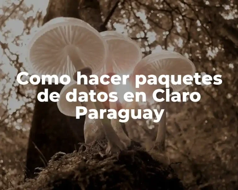 Como hacer paquetes de datos en Claro Paraguay