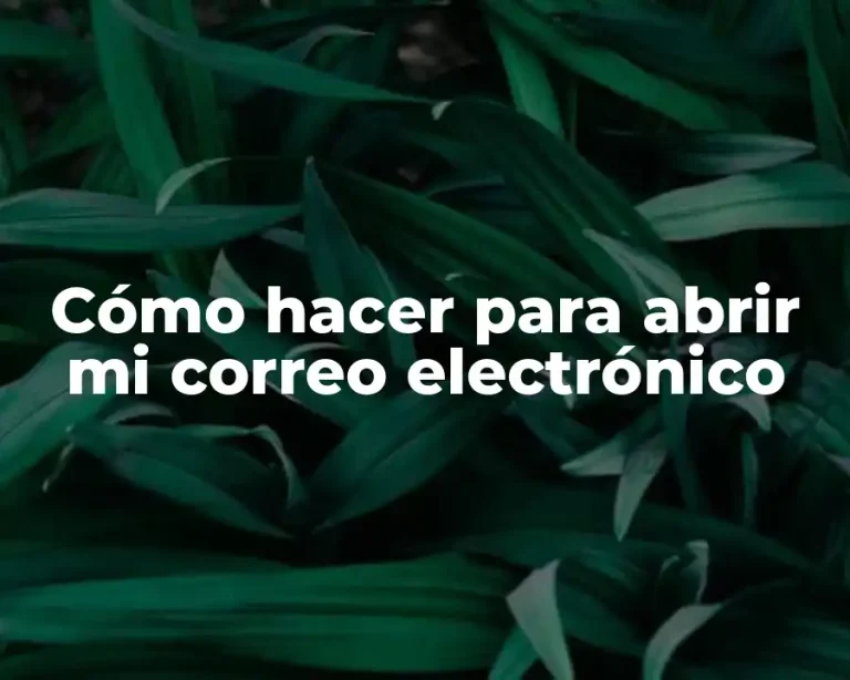 Cómo hacer para abrir mi correo electrónico