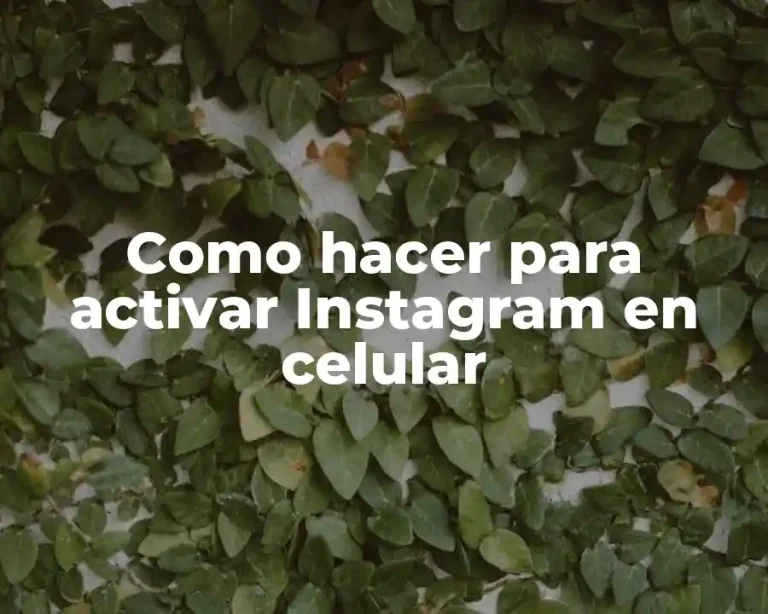 Como hacer para activar Instagram en celular