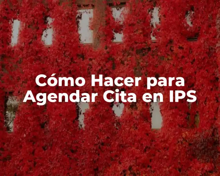 Cómo Hacer para Agendar Cita en IPS