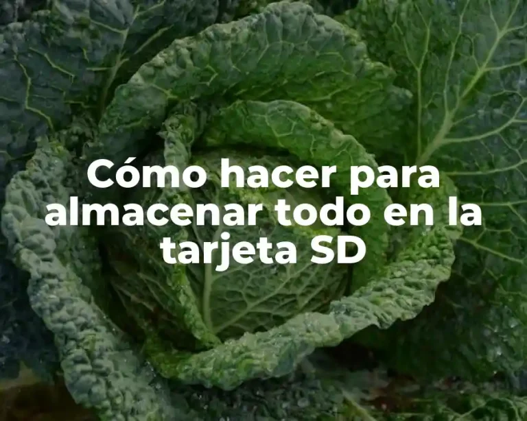 Cómo hacer para almacenar todo en la tarjeta SD