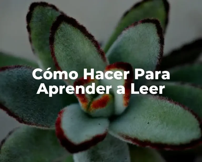 Cómo Hacer Para Aprender a Leer