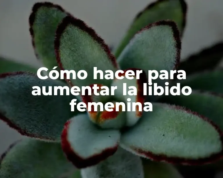 Cómo hacer para aumentar la libido femenina
