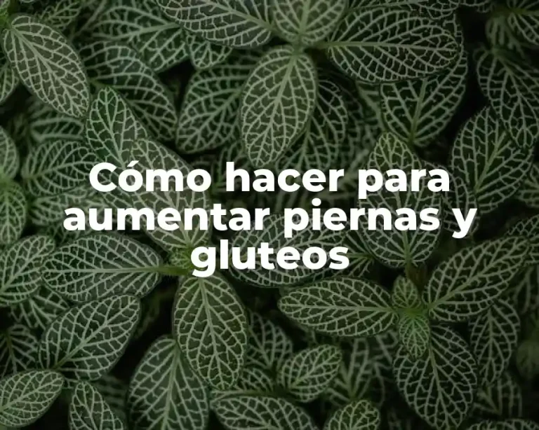 Cómo hacer para aumentar piernas y gluteos