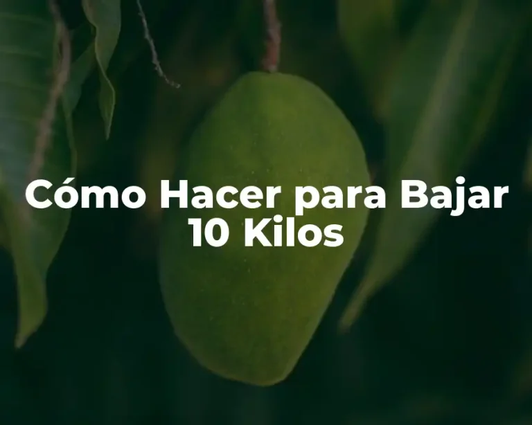 Cómo Hacer para Bajar 10 Kilos