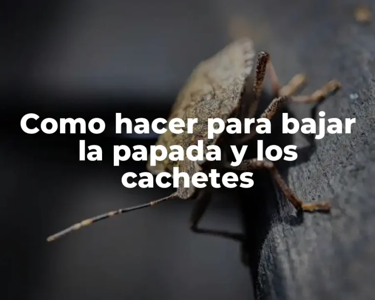 Como hacer para bajar la papada y los cachetes